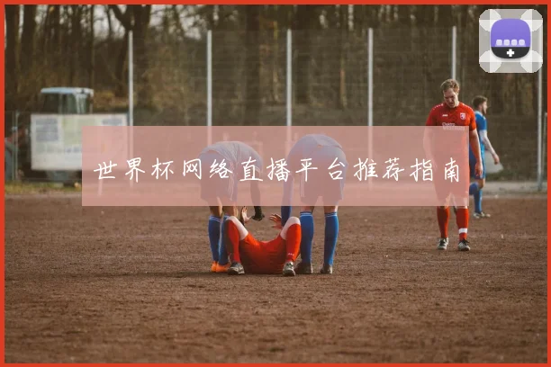 世界杯网络直播平台推荐指南