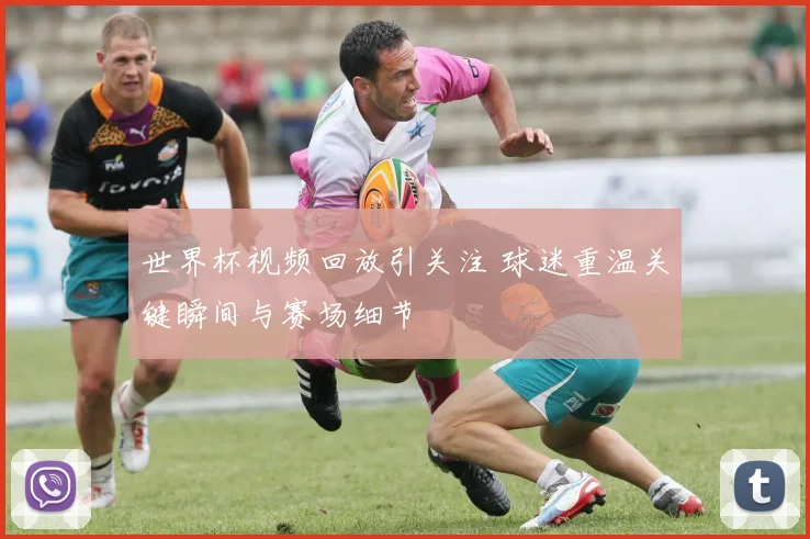 世界杯视频回放引关注 球迷重温关键瞬间与赛场细节