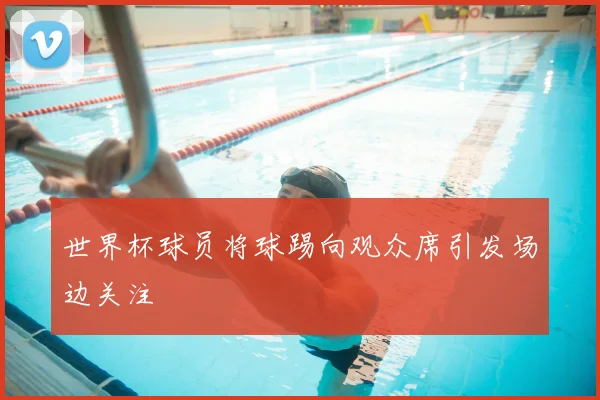 世界杯球员将球踢向观众席引发场边关注