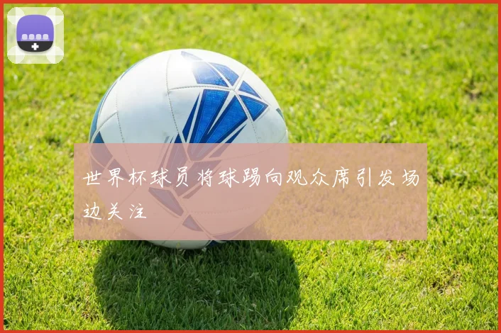 世界杯球员将球踢向观众席引发场边关注