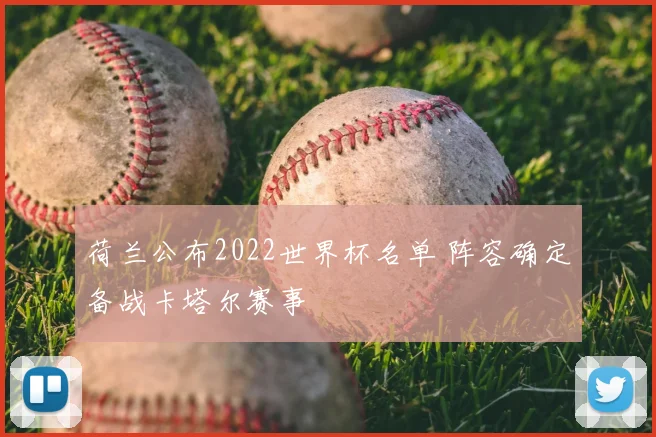荷兰公布2022世界杯名单 阵容确定备战卡塔尔赛事
