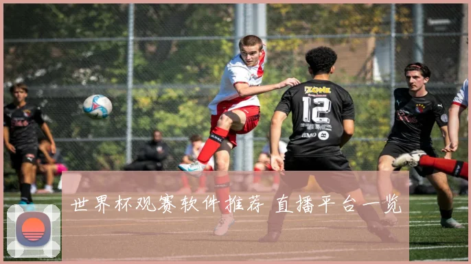 世界杯观赛软件推荐 直播平台一览