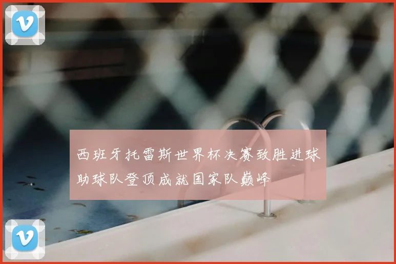 西班牙托雷斯世界杯决赛致胜进球助球队登顶成就国家队巅峰