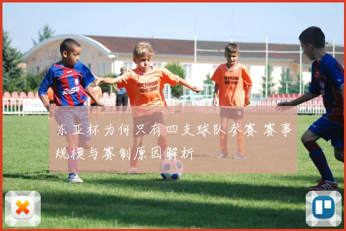 东亚杯为何只有四支球队参赛 赛事规模与赛制原因解析