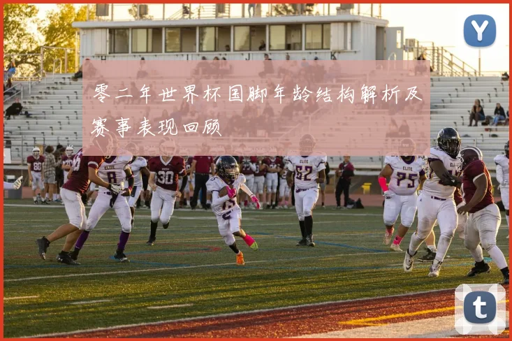 零二年世界杯国脚年龄结构解析及赛事表现回顾