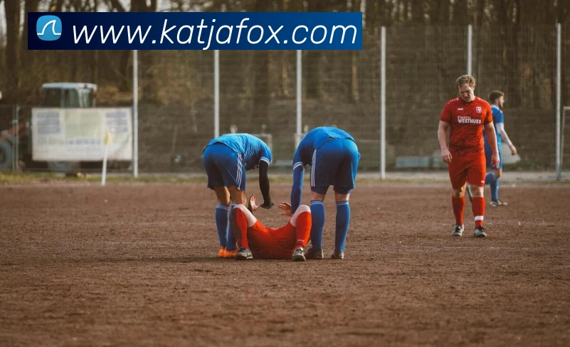 易倍emc中文官网APP 封面图